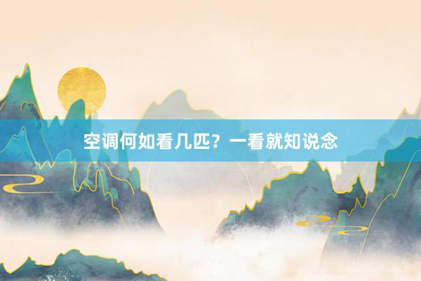 空调何如看几匹？一看就知说念